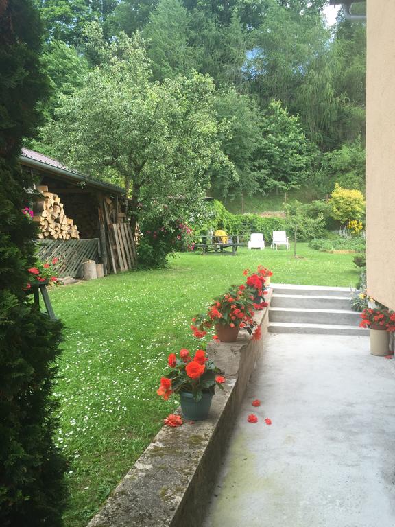 Noclegi Pod Kasztanem Duszniki Zdrój Dış mekan fotoğraf